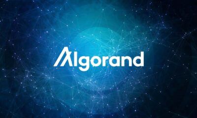 Algorand is the Best Smart Contract Blockchain