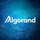 Algorand is the Best Smart Contract Blockchain