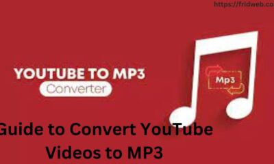 Guide to Convert YouTube Videos to MP3