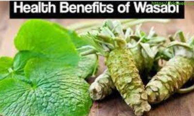 Benefits of Wasabi