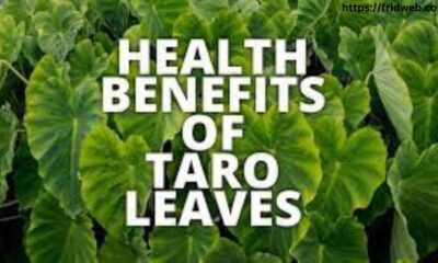 Benefits of Taro Leaves