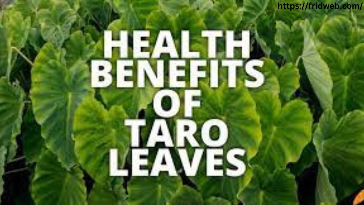 Benefits of Taro Leaves