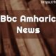 BBC Amharic News