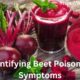 Beet Poisoning Symptoms