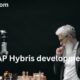 SAP Hybris development