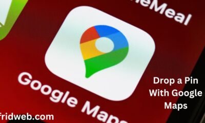 Drop a Pin With Google Maps