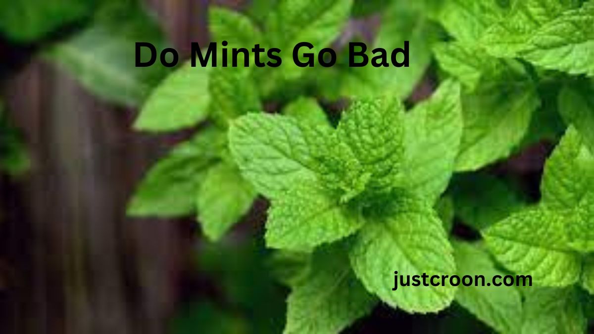 Do Mints Go Bad